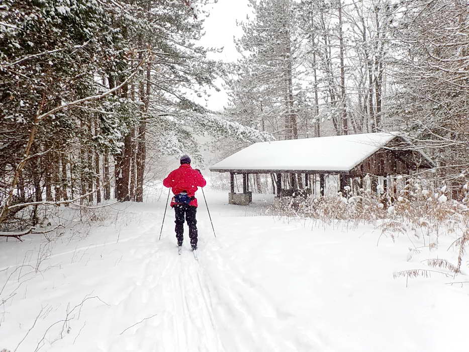 Whitchurch & Porritt