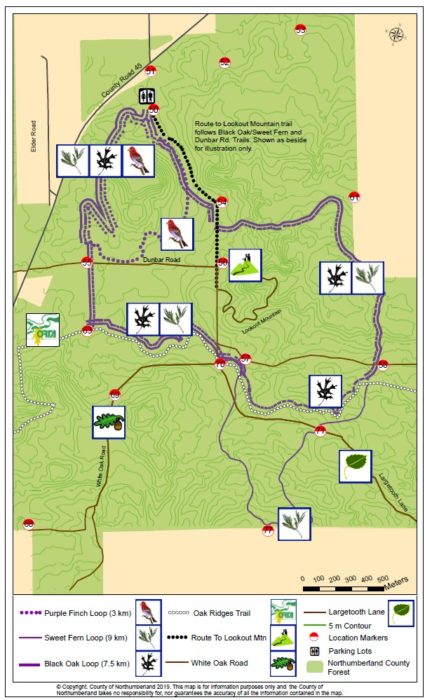Northumberland Snowshoe Trail map