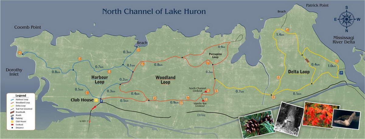 Boom Camp ski trails